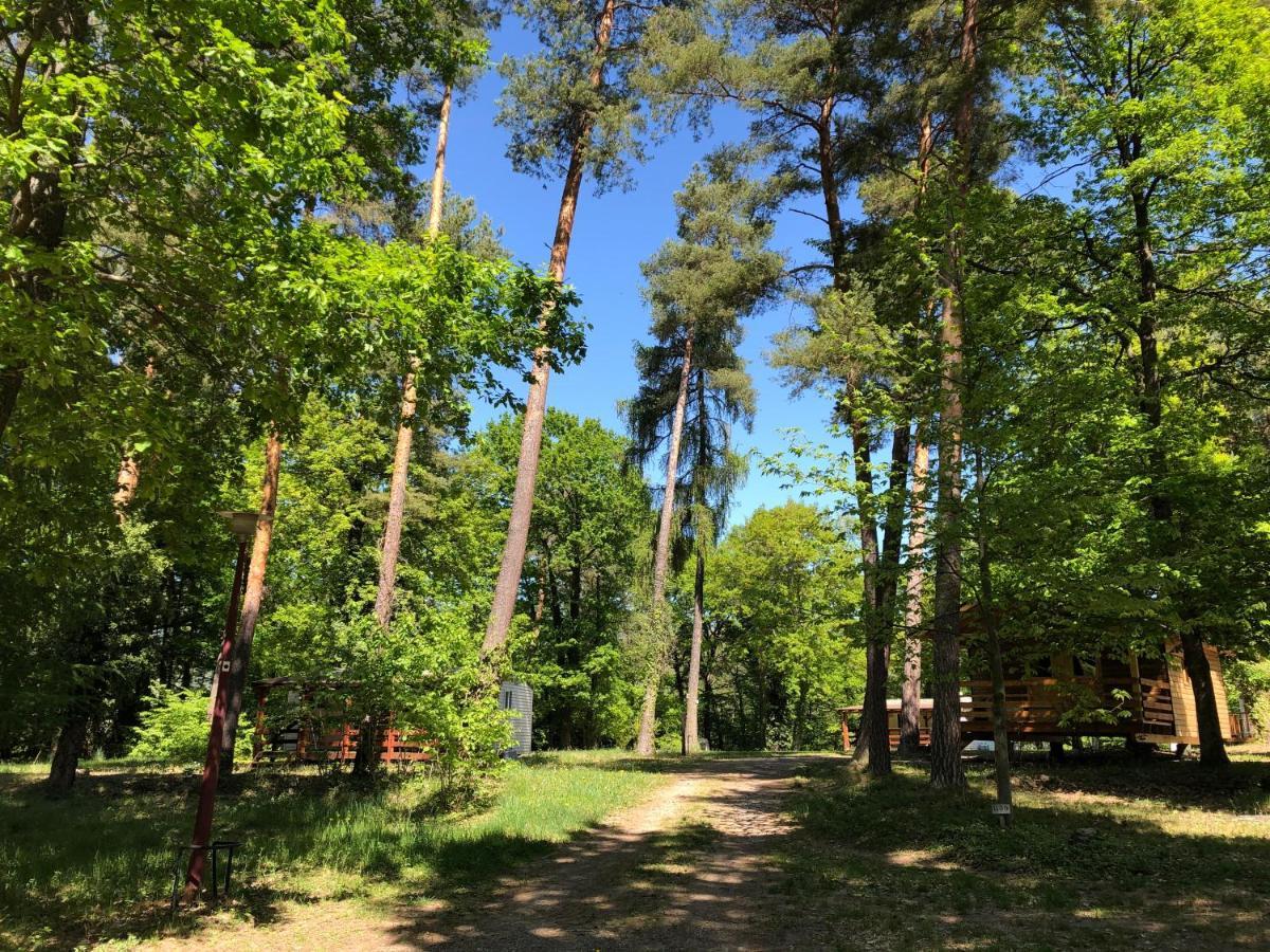 Camping Osenbach Exterior photo